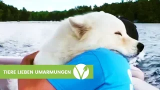 Tiere lieben Umarmungen!