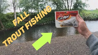 Fall Trout Fishing With Gulp Minnows