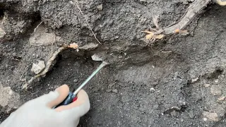 HOW MANY ARE STACKED IN THERE?! Insane arrowhead dig (several smokers)