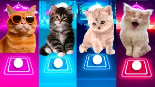 CUTE CATS SHAKIRA WAKA WAKA VS DANCE MONKEY VS BTS FAKE LOVE VS GUMMY BEAR & TILES HOP EDM RUSH