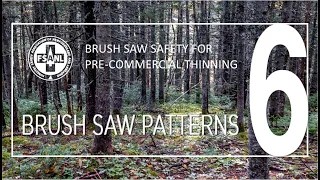 Brush Saw Safety for Pre-Commercial Thinning | Video Six | Brush Saw Patterns