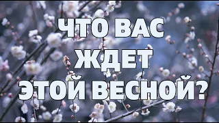 ЧТО ВАС ЖДЕТ ЭТОЙ ВЕСНОЙ? Онлайн гадание прогноз Таро гороскоп на март апрель май