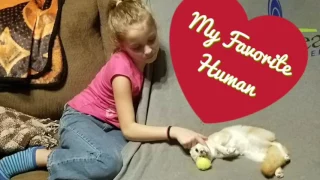 A Fox and a Little Girl. Best Friends.