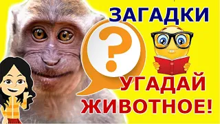 ДЕТСКИЕ ЗАГАДКИ ПРО ДИКИХ ЖИВОТНЫХ. Угадай животное