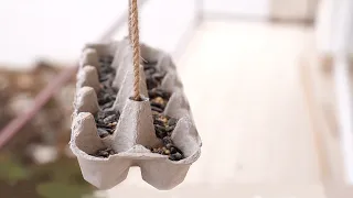 CRAFT - Egg Carton Bird Feeder