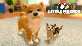 Little Friends: Dogs & Cats - Pet Care Kids Games - Episode 1 - Nintendo Switch Gameplay