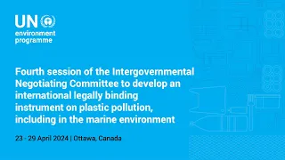 INC-4 on plastic pollution (part 3)