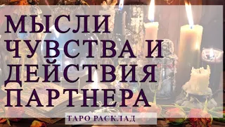 РАСКЛАД МЫСЛИ ЧУВСТВА ПАРТНЕРА