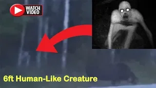 6ft Human Like Creature Spotted Lurking In Canadian Woods