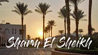 Sharm El-Sheikh | Reef Oasis Beach Resort | Sentido | Part 1