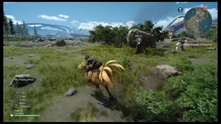 I want to ride my chocobo all day!