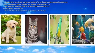 Ознайомлення з природним довкіллям "Тваринки   - наші друзі"