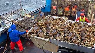 Wow! Big Crab Trap Under The Sea - Amazing Catch Hundreds Tons Crab With Modern Big Boat