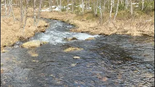 Luttojoki Urho Kekkosen Kansallispuisto