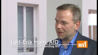 Im Gespräch: AfD-Landeschef Leif-Erik Holm