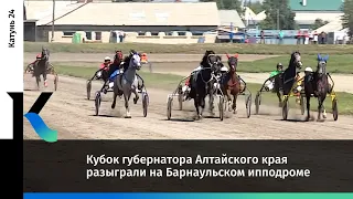 Кубок губернатора Алтайского края разыграли на Барнаульском ипподроме