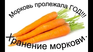 СУПЕР ! Лучший способ хранение моркови год и более. Реальный пример.  (и свеклы) (не по теме канала)
