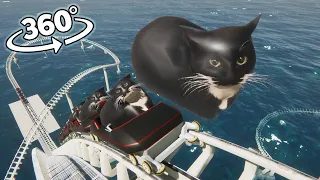 VR 360 Maxwell The Cat Roller Coaster!