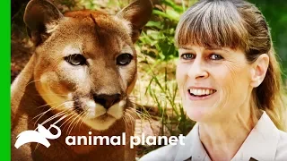 Terri Irwin Visits A Wildlife Sanctuary Very Close To Her Heart | Crikey! It's The Irwins