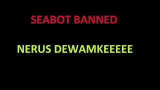 SEAFIGHT BANNed #Bigpoint