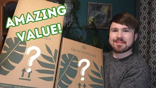 Mystery Rescue Plant Unboxing - Super Savings! (11 Plants)