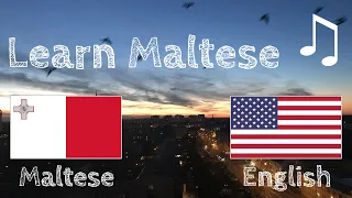 Learn before Sleeping - Maltese (native speaker)  - with music