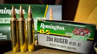 .204 Ruger - 40gr Remington Premier Accutip-V .204 Ruger