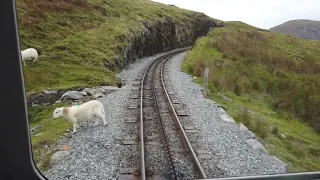 Snowdon Mountain Railway