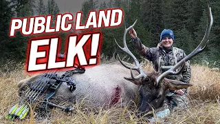 PUBLIC LAND BULL With A Bow! (Exciting Wyoming Elk Hunt!)