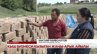 Кыш бизнеси кызыган Жаңы-Арык айылы