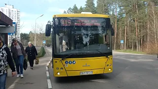 Поездка на автобусе МАЗ-203 (Маршрут: 419, Ст. М. Пушкинская - Минское море)