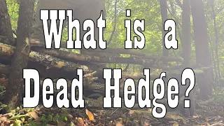 How to Build a Dead Hedge 🪓 Super Simple Stick Fence!