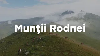 Drumeție de 45km în Munții Rodnei