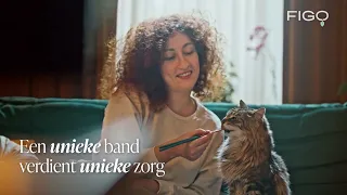 Kattenverzekering: Is jouw beste vriend al verzekerd? | Figopet.nl