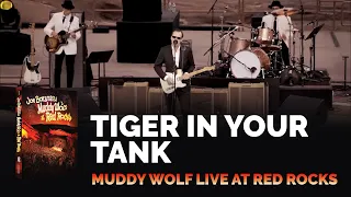 Joe Bonamassa Official - "Tiger In Your Tank" - Muddy Wolf at Red Rocks