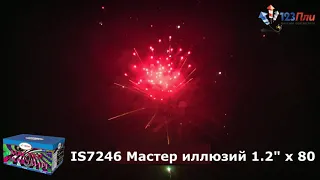 IS7246 Мастер иллюзий