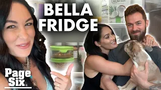 Nikki and Brie Bella share what's cooking inside their quarantine kitchens | Page Six Celebrity News