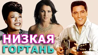 Низкая гортань || Opera, jazz, rock