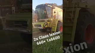 Žně Žatva Harvest;2x Claas lexion 660 + Claas lexion 6600