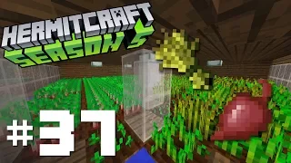 Hermitcraft Season V: E37 - Wheat to the Beet