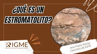 ¿Qué son los ESTROMATOLITOS?. El IGME en Angola. (1/2)