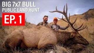 FATHER & SON ELK HUNT | BIG 7x7 BULL ELK | PUBLIC LAND HUNT