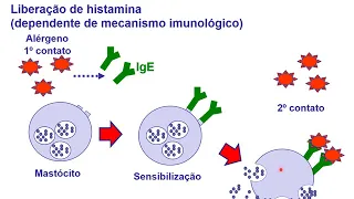 HISTAMINA E ANTI HISTAMINICOS