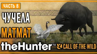 theHunter Call of the Wild #8 🐂 - Давид Против Голиафа - Кoмпозиции из Чучeл