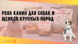 Роял Канин для собак и щенков крупных пород