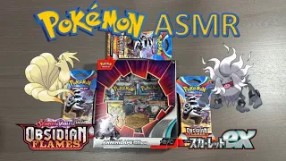 ASMR Opening Pokémon Card Packs | OBSIDIAN FLAMES Annihilape EX Box! (No Talking)