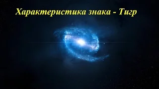 Характеристика знака - Тигр