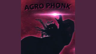 Agro Phonk