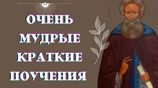 Не делай Зла даже и в шутку! -  Очень МУДРЫЕ краткие поучения Аввы Дорофея