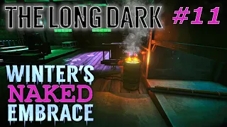 The Long Dark: Winter's Naked Embrace (#11)